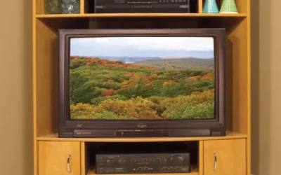 NE-95 Corner Entertainment Unit